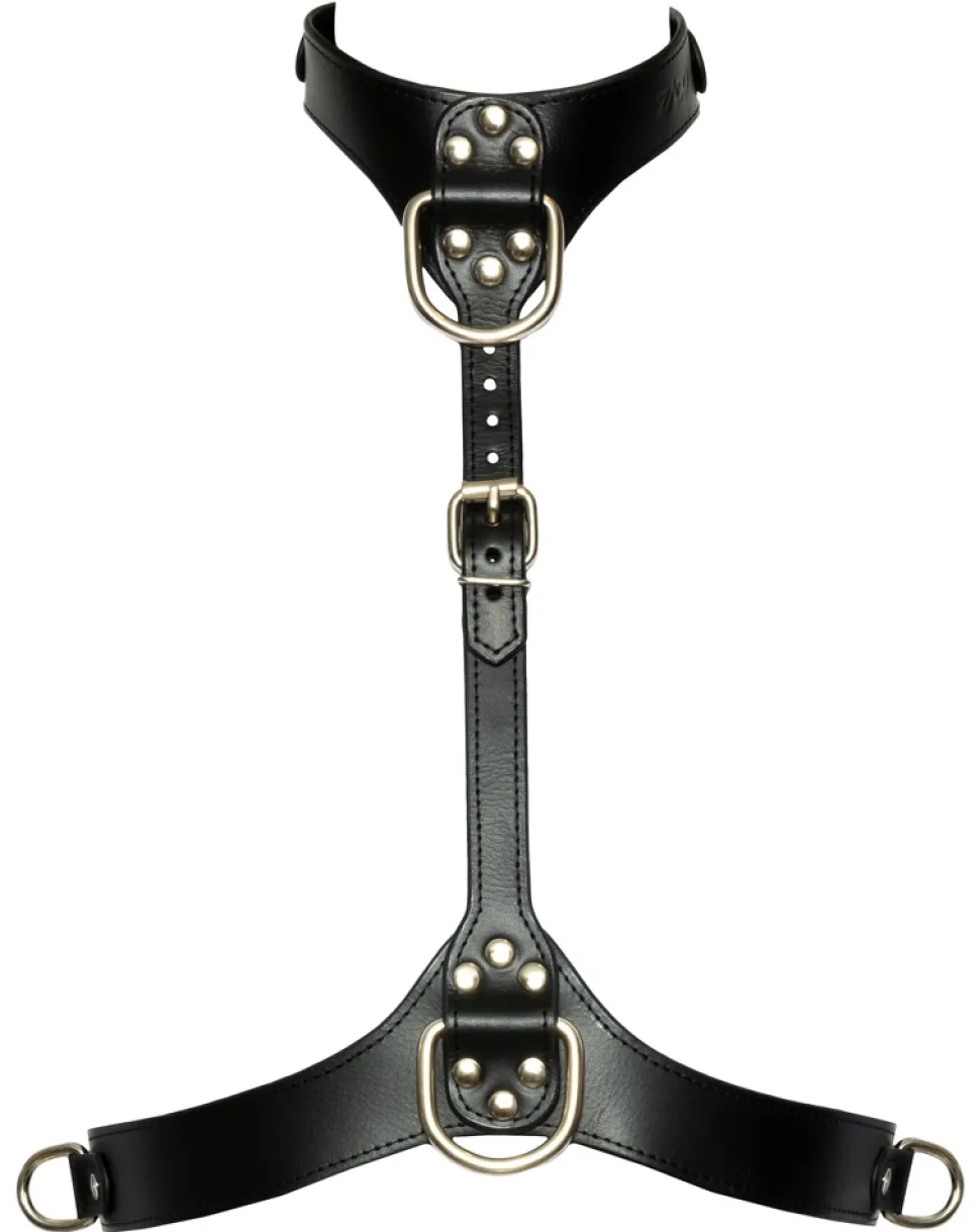 Brust-Harness in Lederoptik mit Ringen