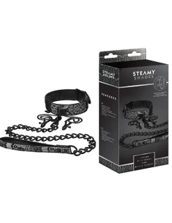 Collar with Leash and Nipple Clamps