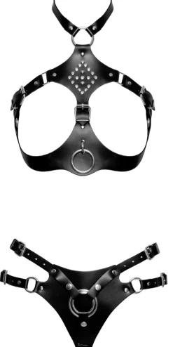 Harness Set aus feinstem Leder, hochwertig verarbeitet