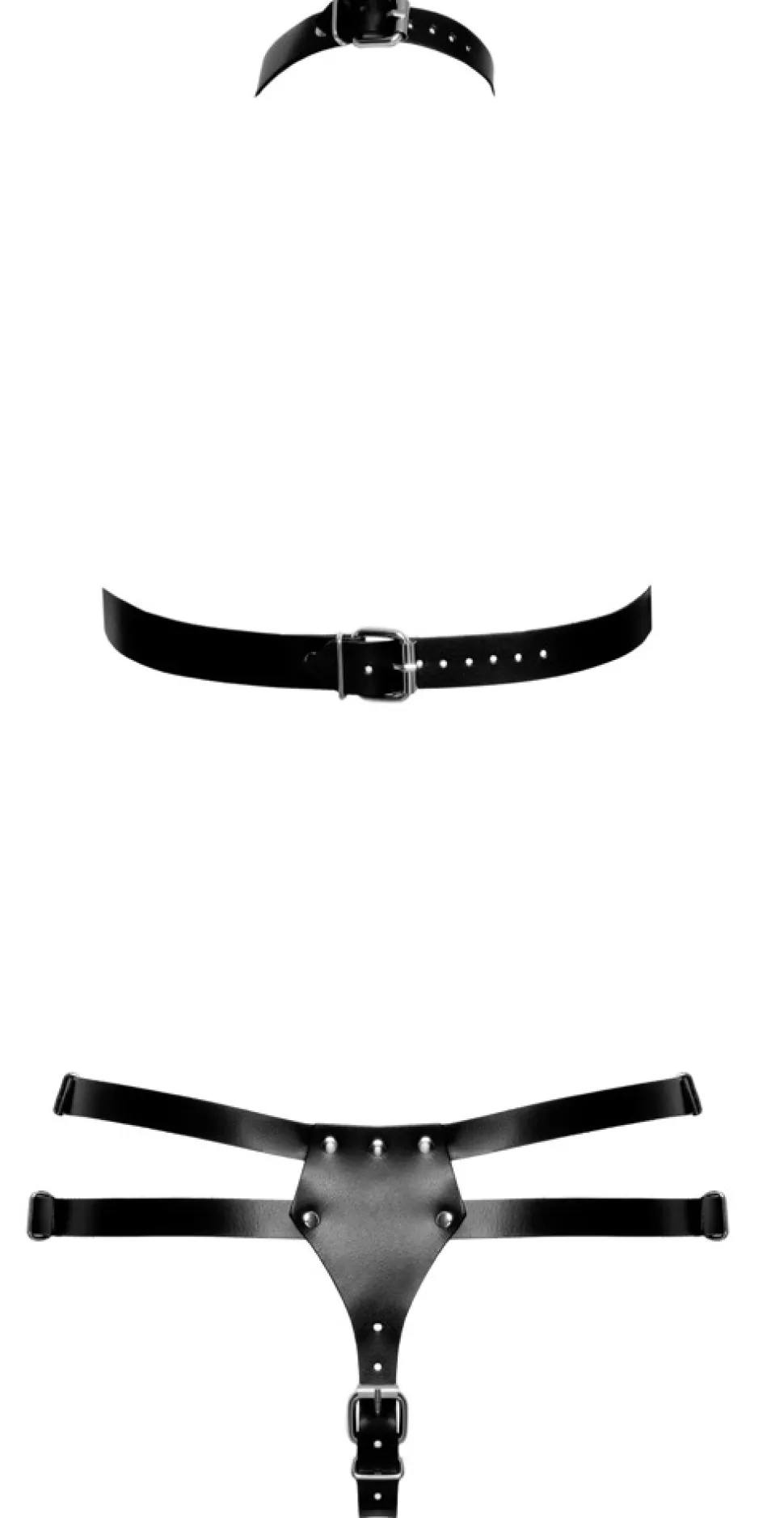 Harness Set aus feinstem Leder, hochwertig verarbeitet
