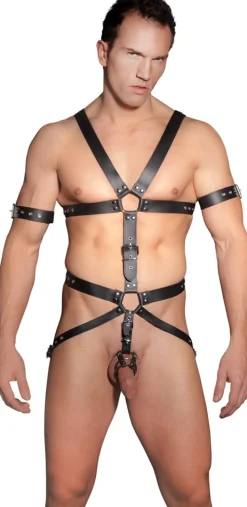 Herren Harness aus Leder verstellbar
