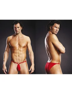 Microfiber Pouch Bikini rot