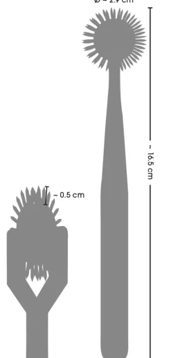 Nadelrad Rainbow Metallic
