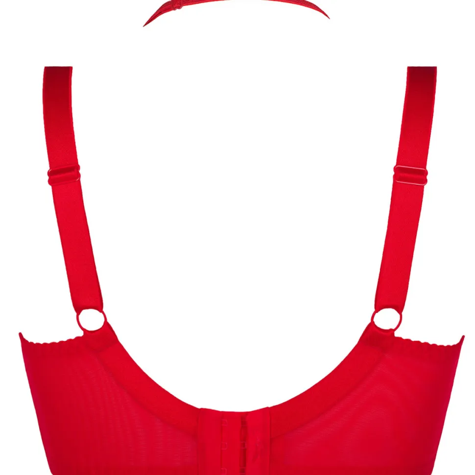 Plus Size BH Neckholder Spitze Tüll