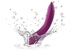Rave 2 Vibrator mit App Steuerung