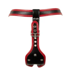 Strap-on-String mit 3 Dildos